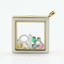 Fashion Stainless Steel Locket Pendant for Decoration (HL-847)